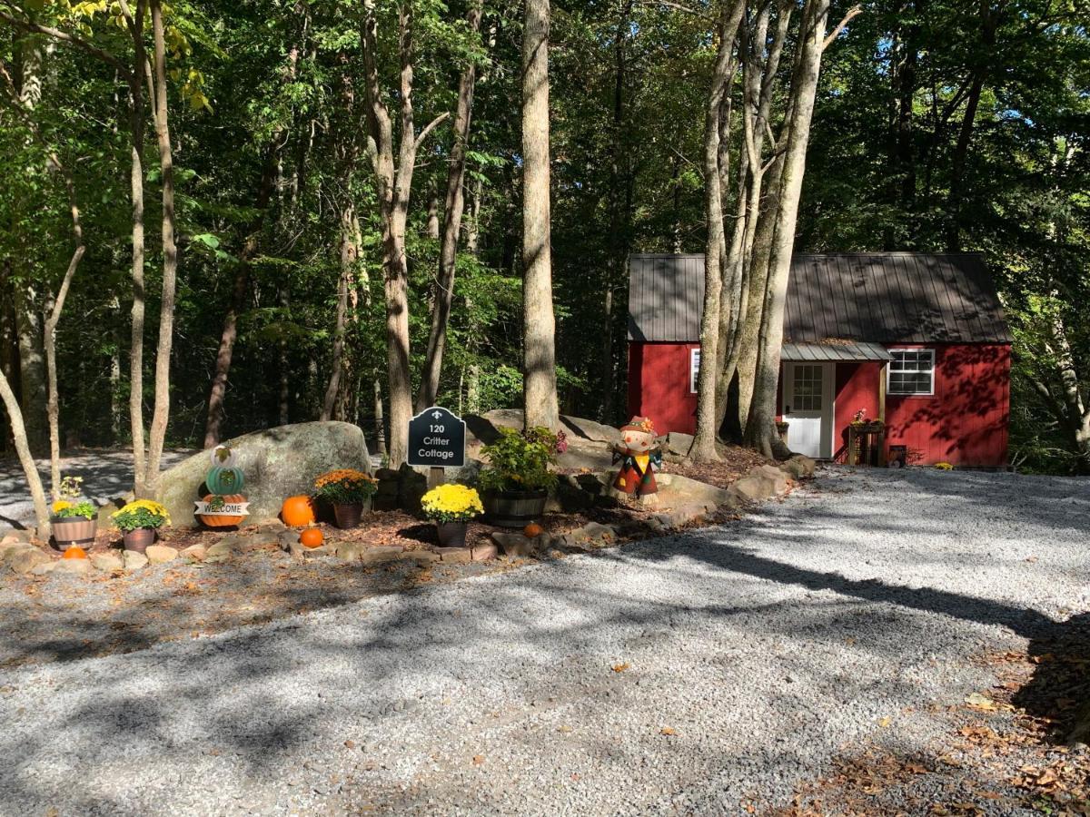 Coops Creek Cabins Dunlap Buitenkant foto