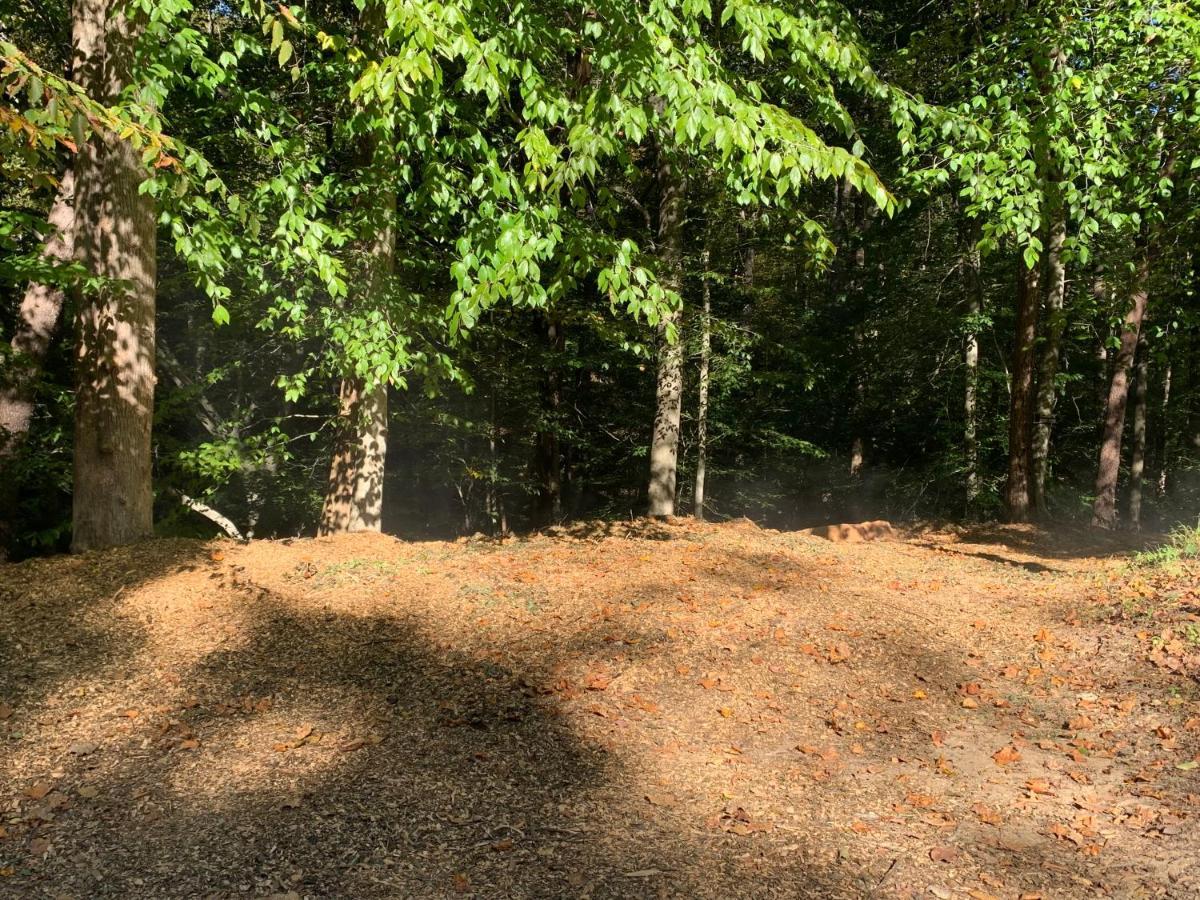 Coops Creek Cabins Dunlap Buitenkant foto